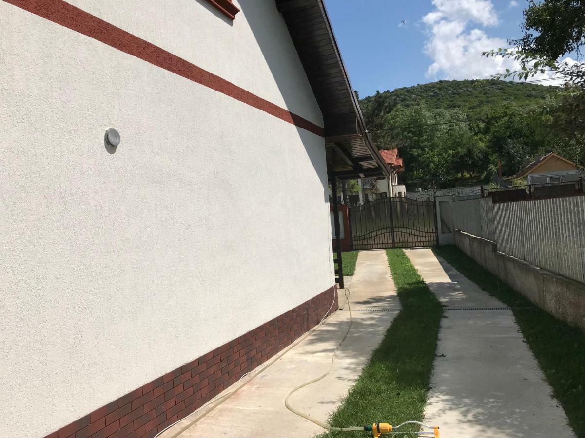 Casa De Vacanta Dalia Si Crina Babadag Exteriör bild